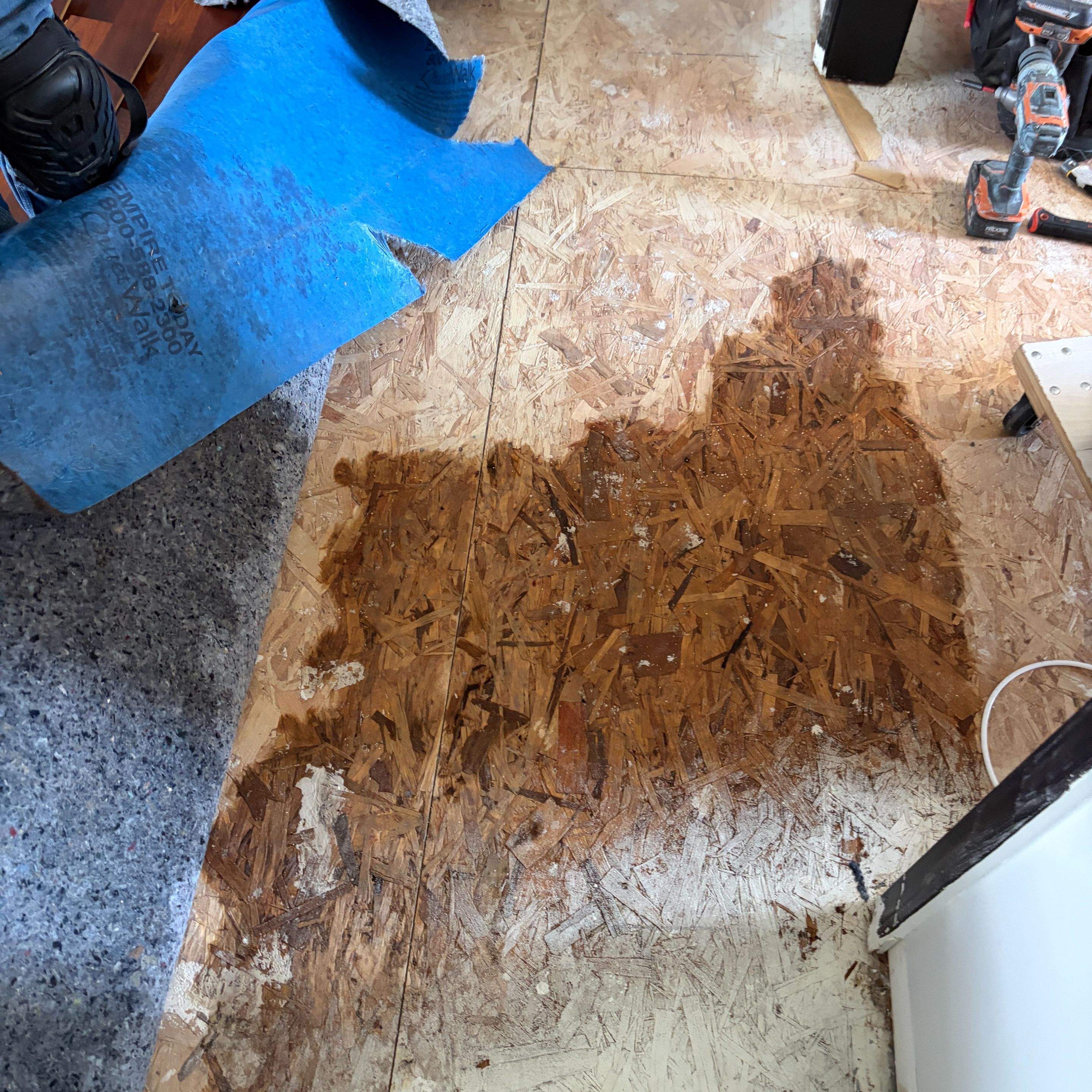 Plumbing Leak Water Damage in Albany: Wall and Floor Repair